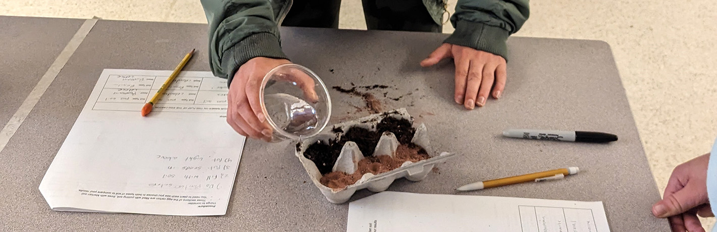 Forest Hills Michigan School Foundation